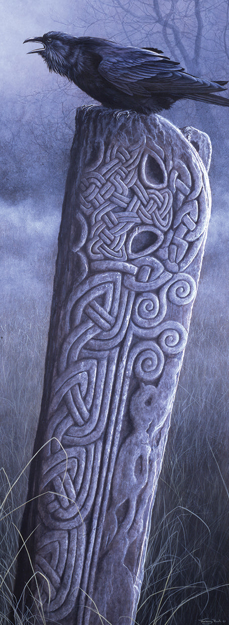 Ancient stones - Raven Canvas Print