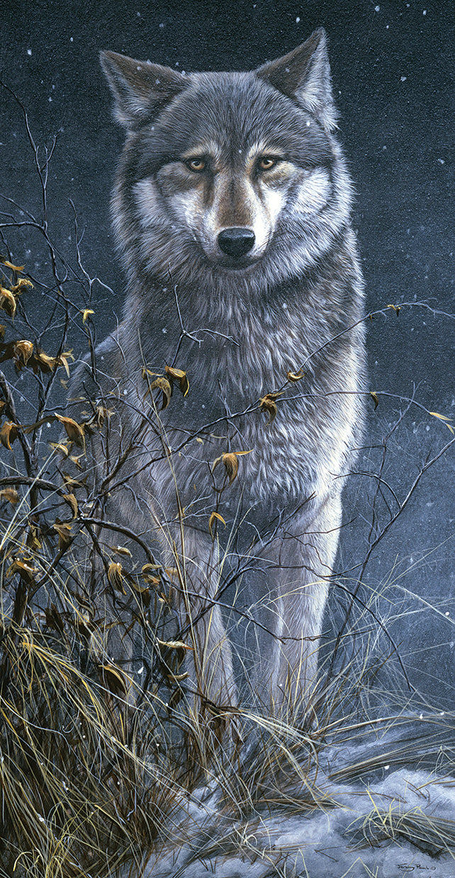 Wolf