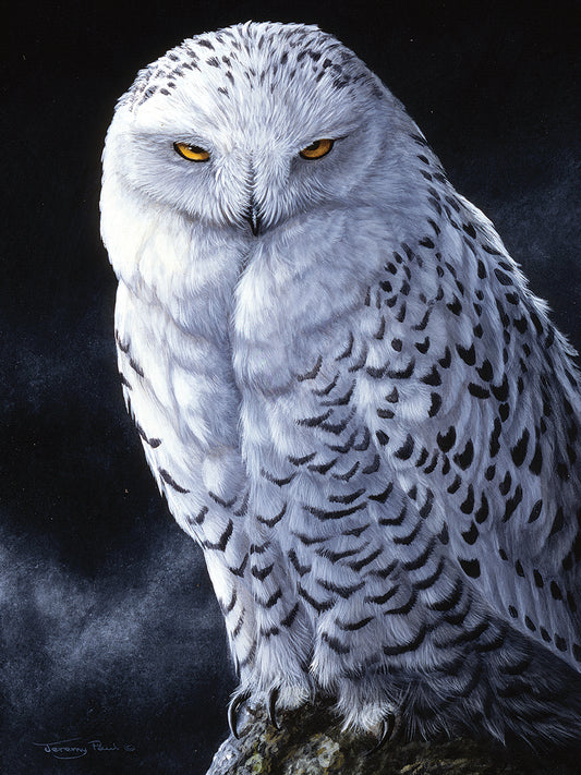 442 Snowy Owl