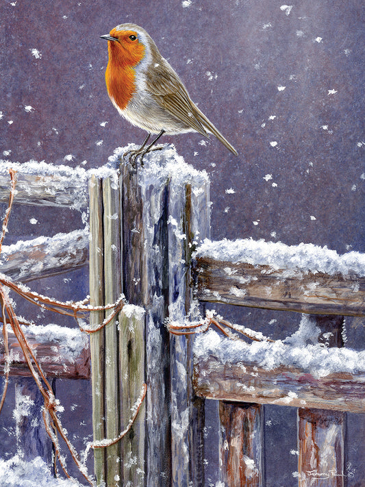 505 Winter Robin Canvas Print