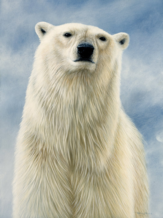 653 Polar Bear