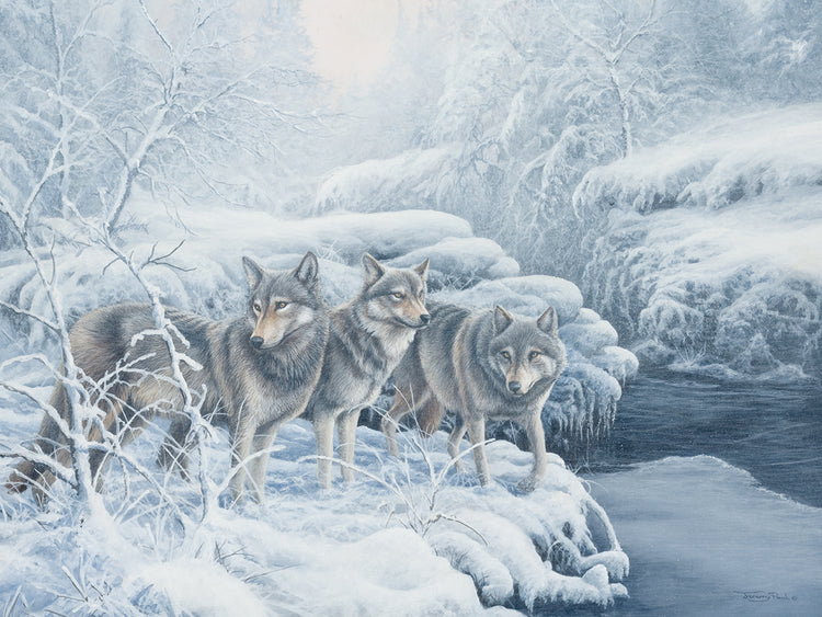 695 At the edge - wolves