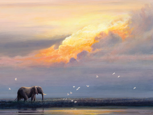 Elephant at Sunset Canvas Print