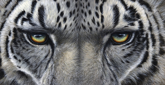 781 snow leopard eyes Canvas Print