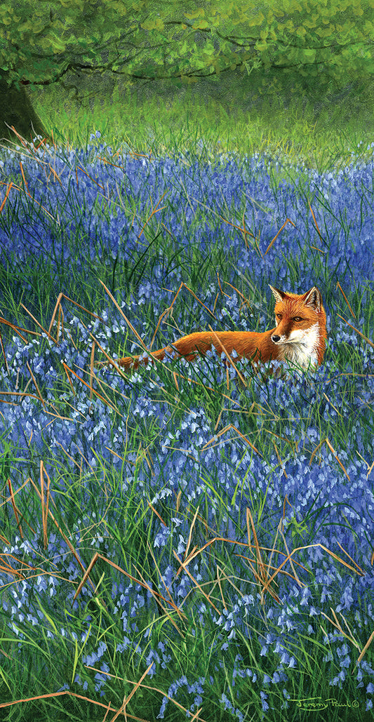 834 fox and bluebells Canvas Print