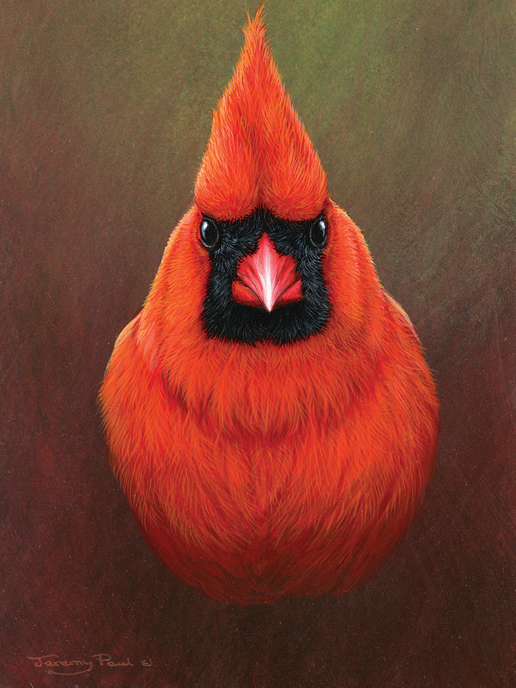 Cardinal