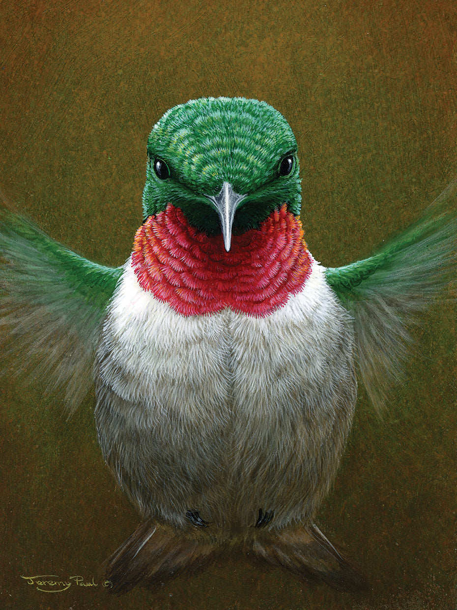 Hummingbird