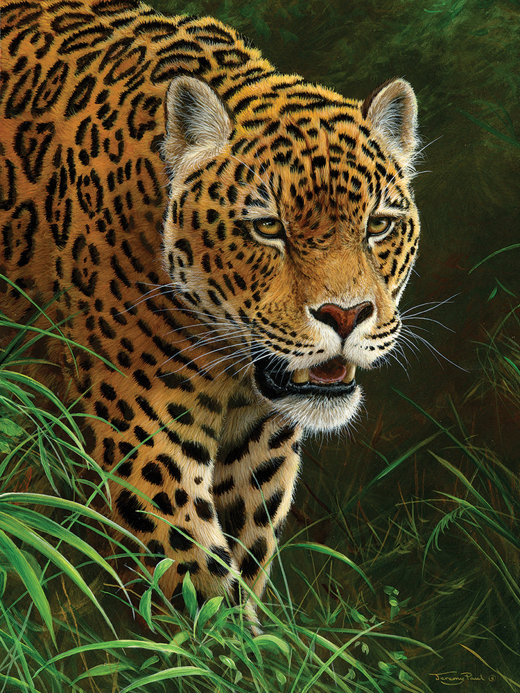 Jaguar