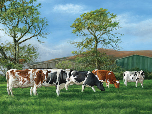 Cooil farm Canvas Print