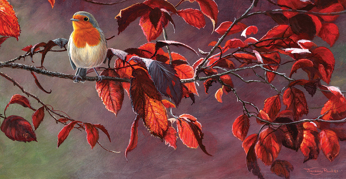Robin