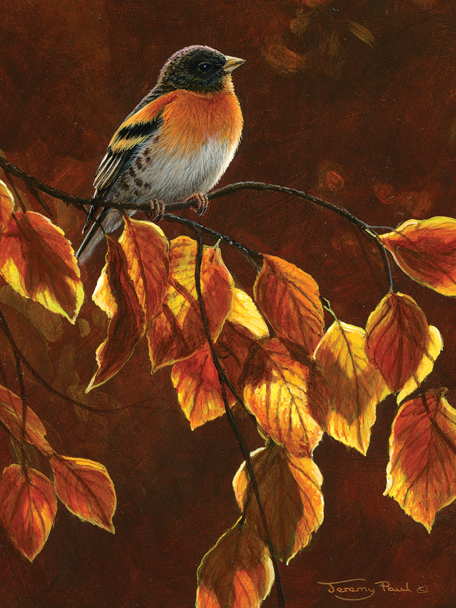 Brambling gold