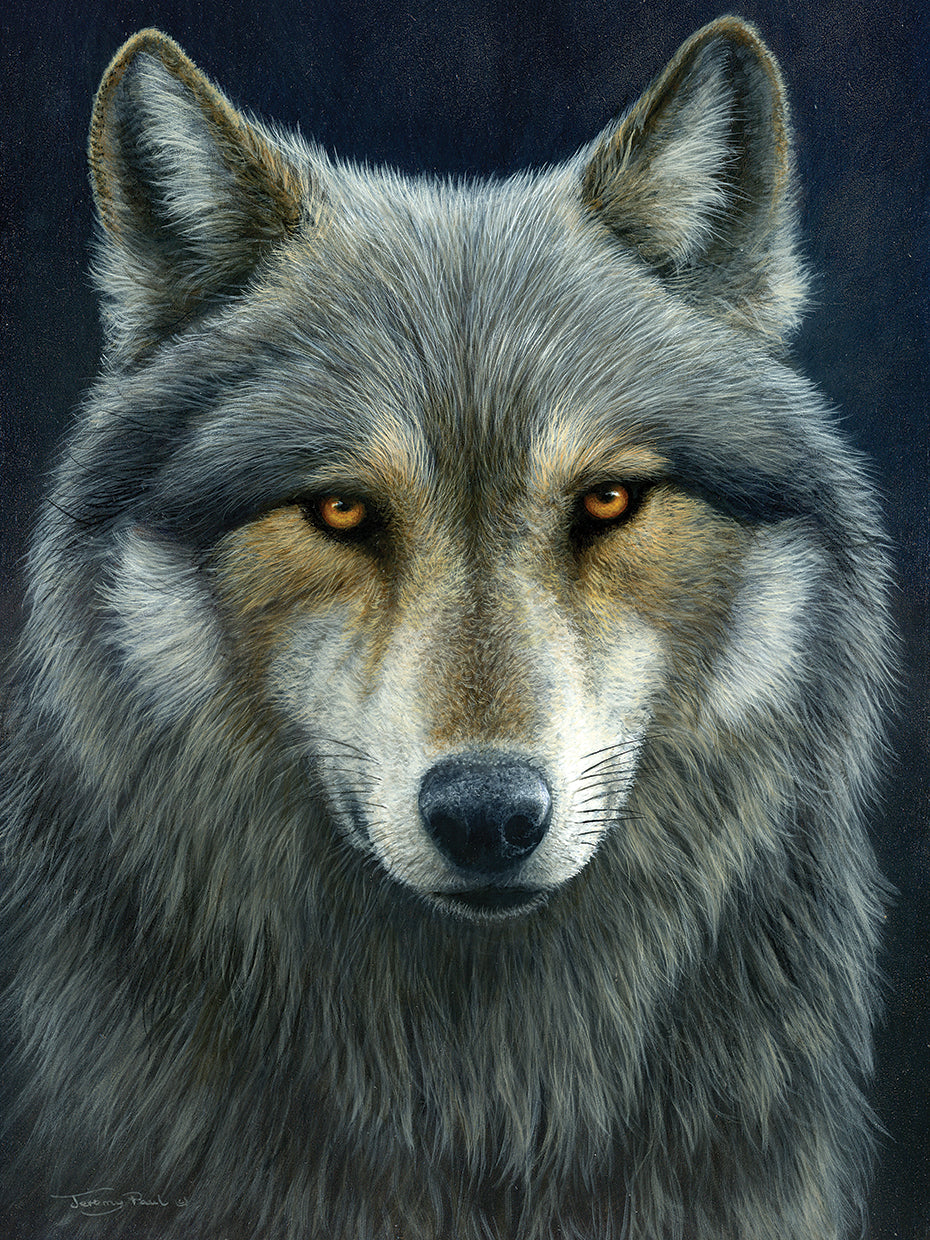 Look into my Eyes