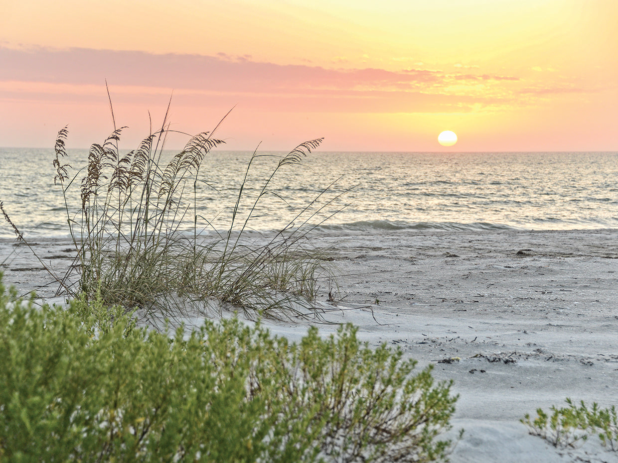 Soothing Sunset