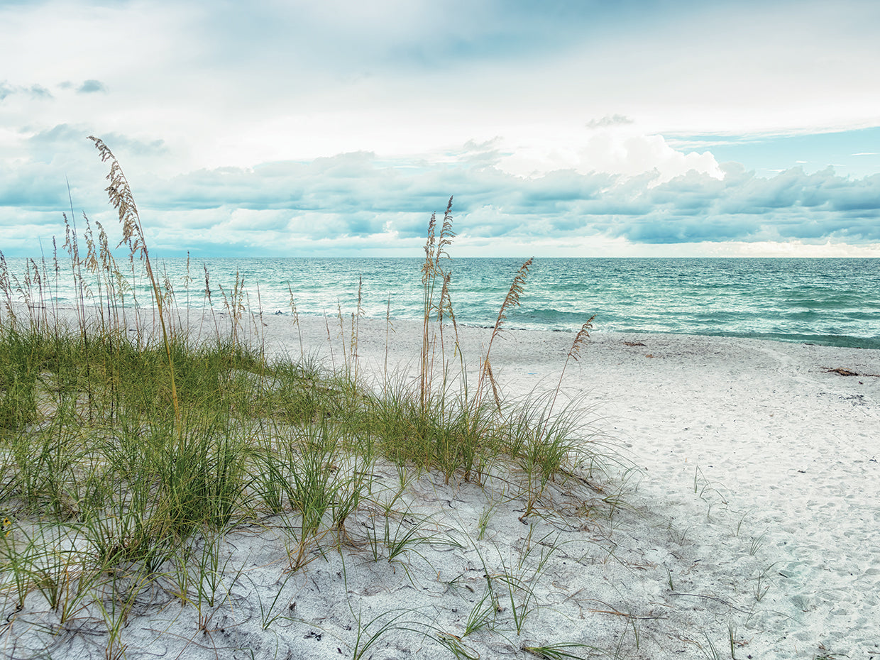 Beach Secrets