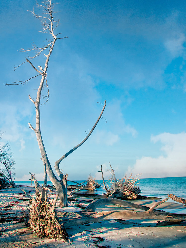 Deserted Beach 2