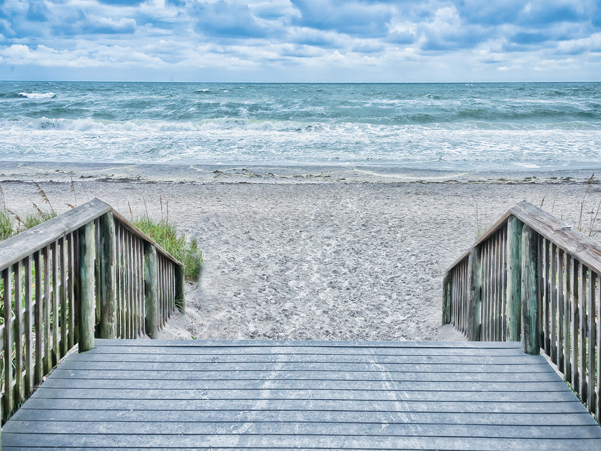 Savor the Seas