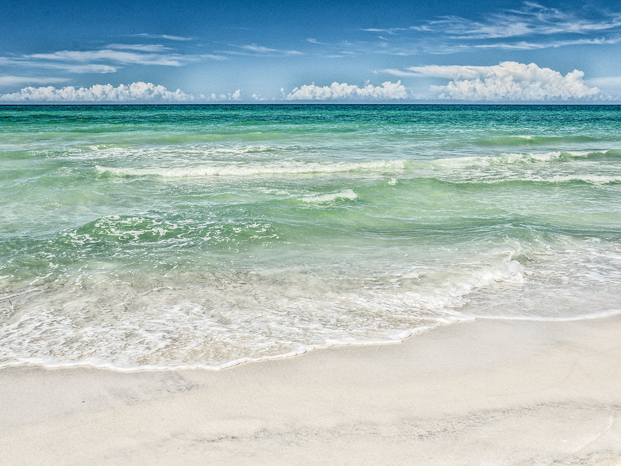 Seas the Day!
