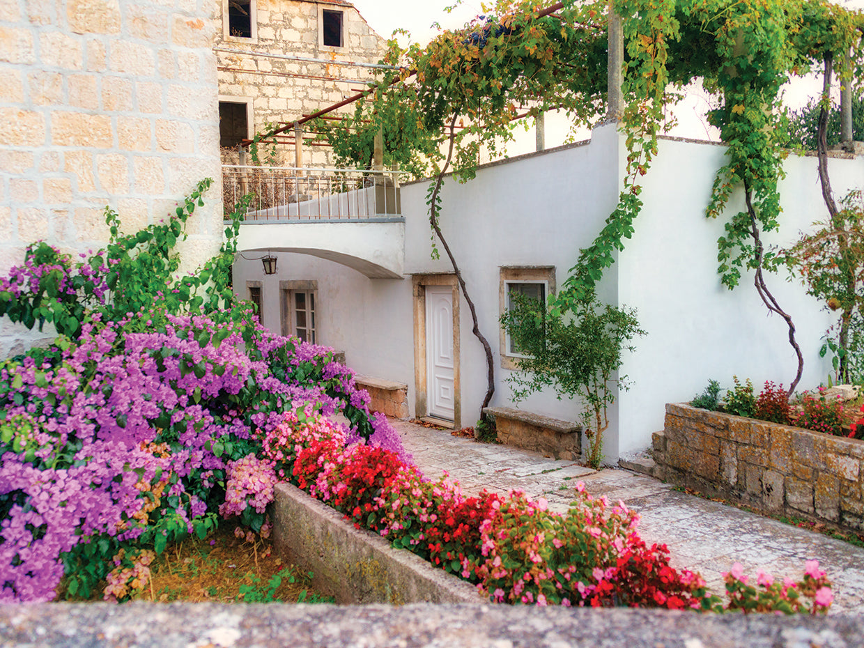 Bloom Like the Flowers