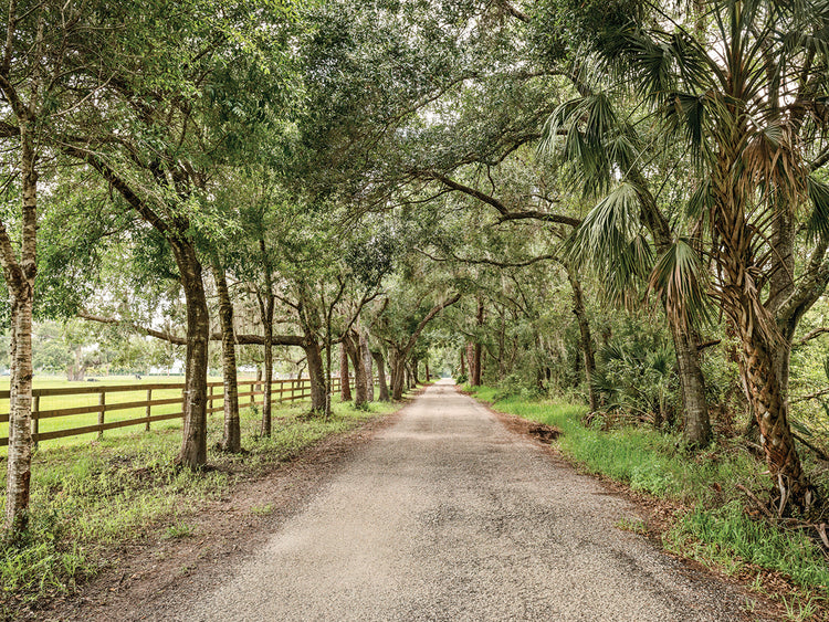 Country Roads, Take Me Home