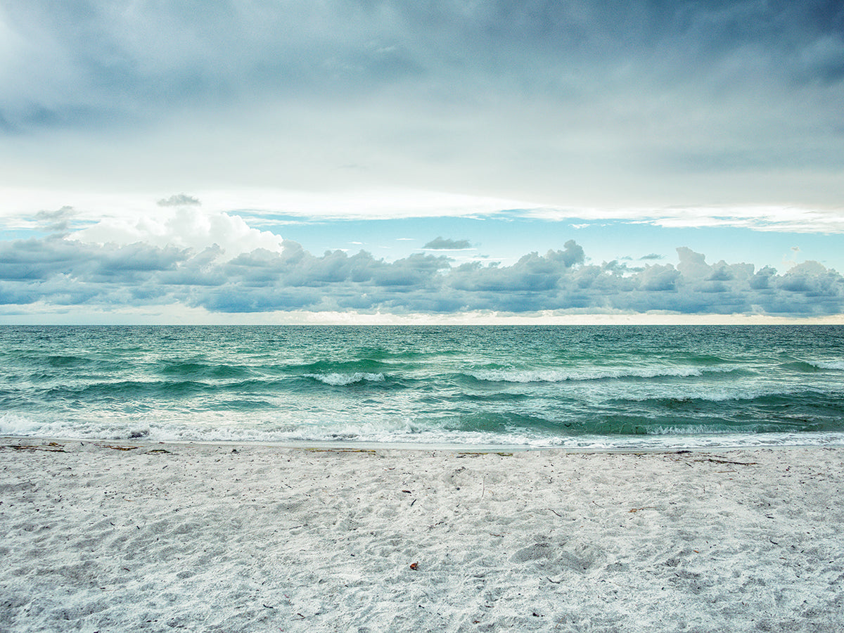 Beach Day