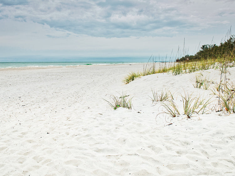 Beach Solitude