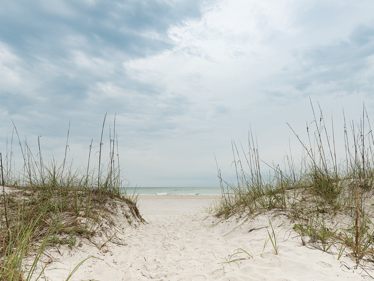 Dune Path