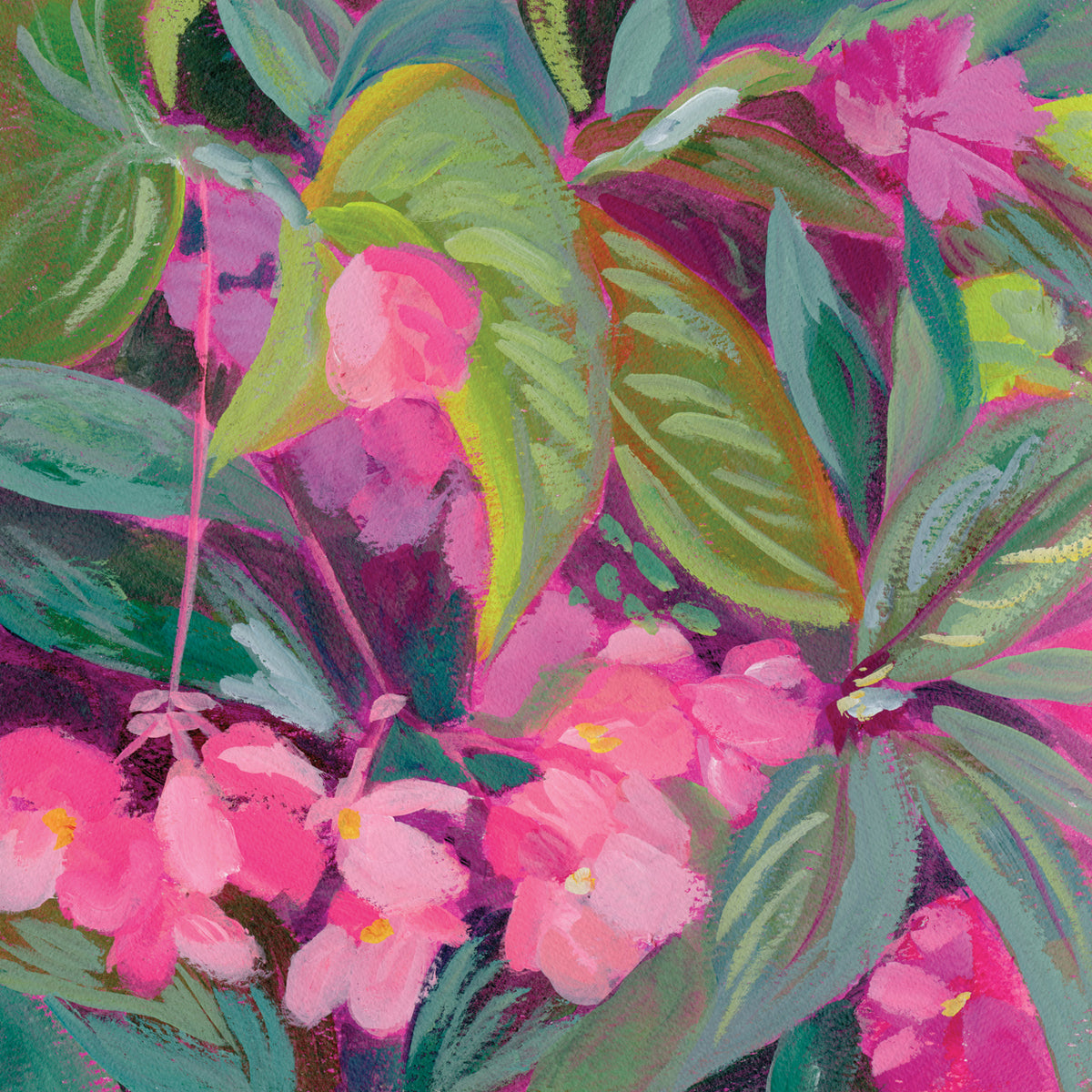 Begonia