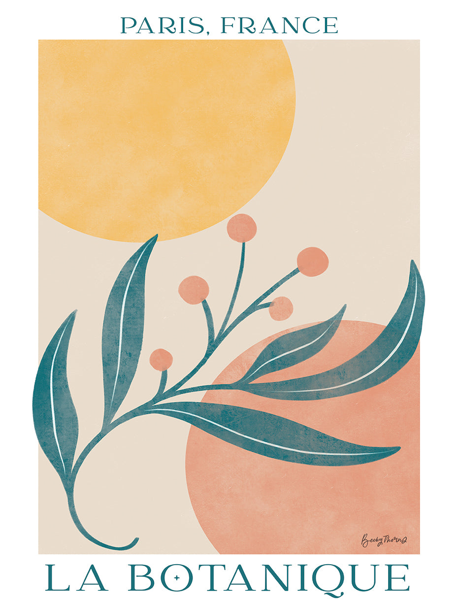 Botanical Poster IV
