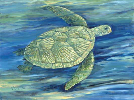 Blue Lagoon Sea Turtle III Canvas Print