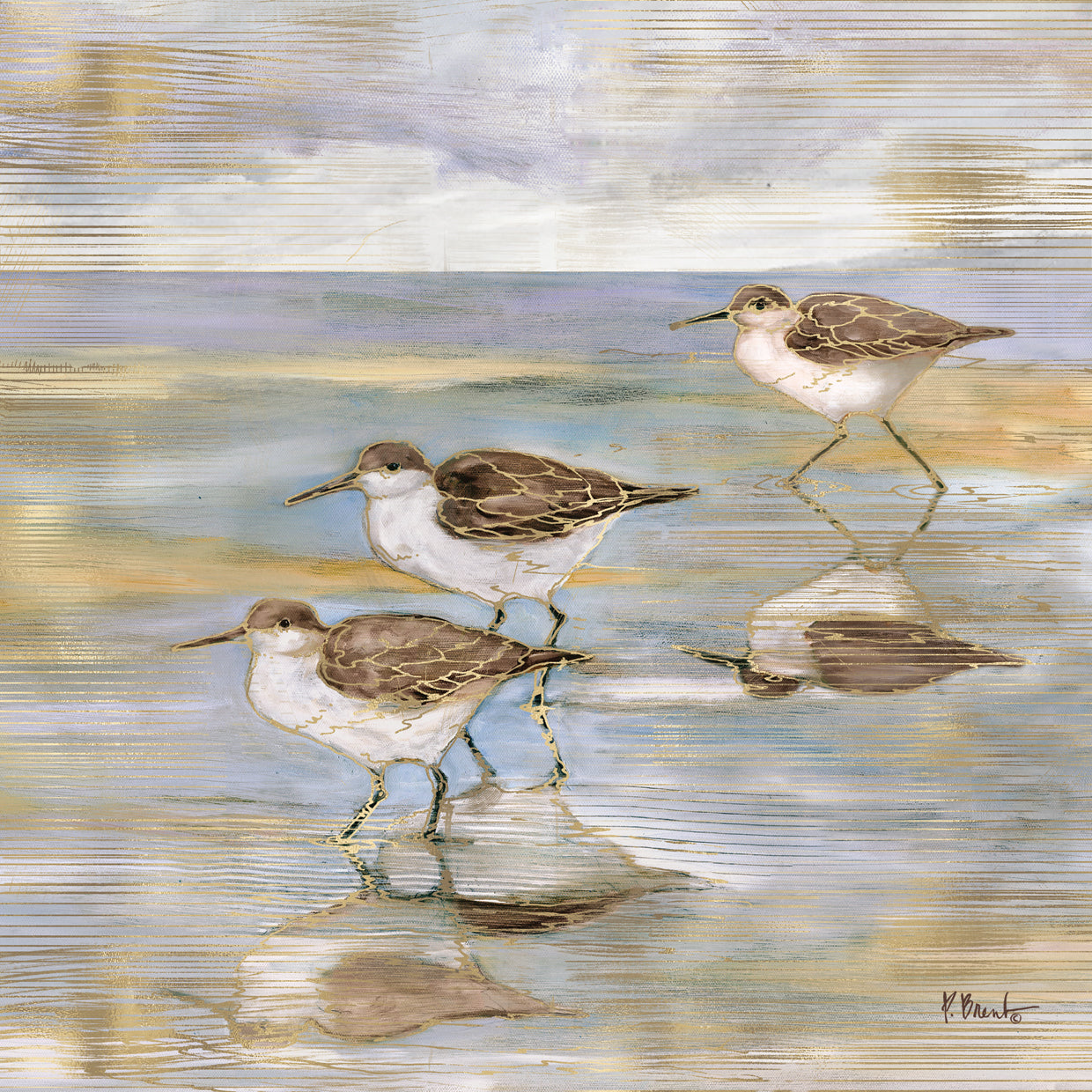 Golden Sandpipers II