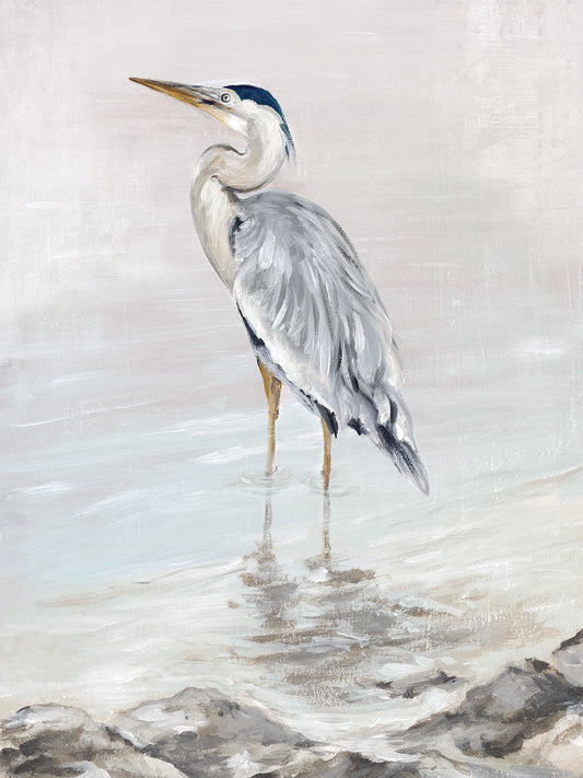 Heron Beauty I Canvas Print