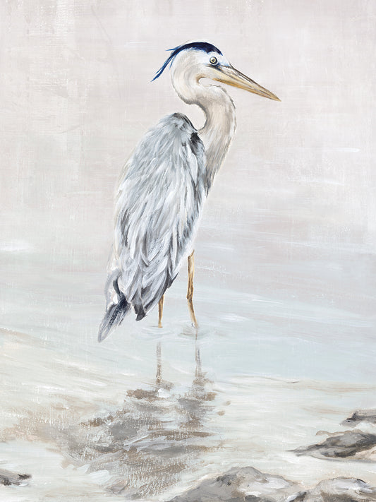 Heron Beauty II Canvas Print