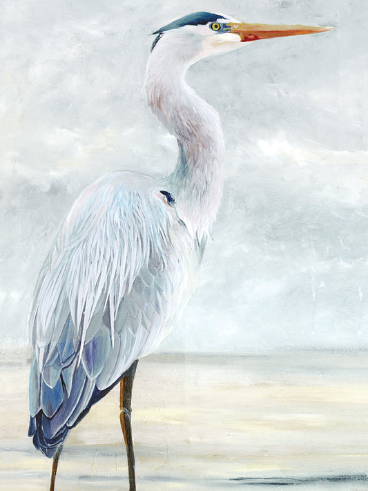 Beach Blue Heron II Canvas Print