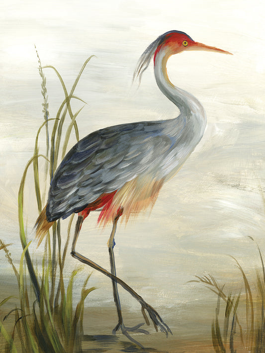 Grey Heron Canvas Print