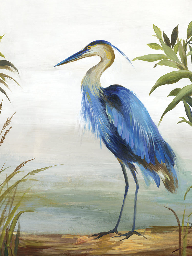 Blue Heron