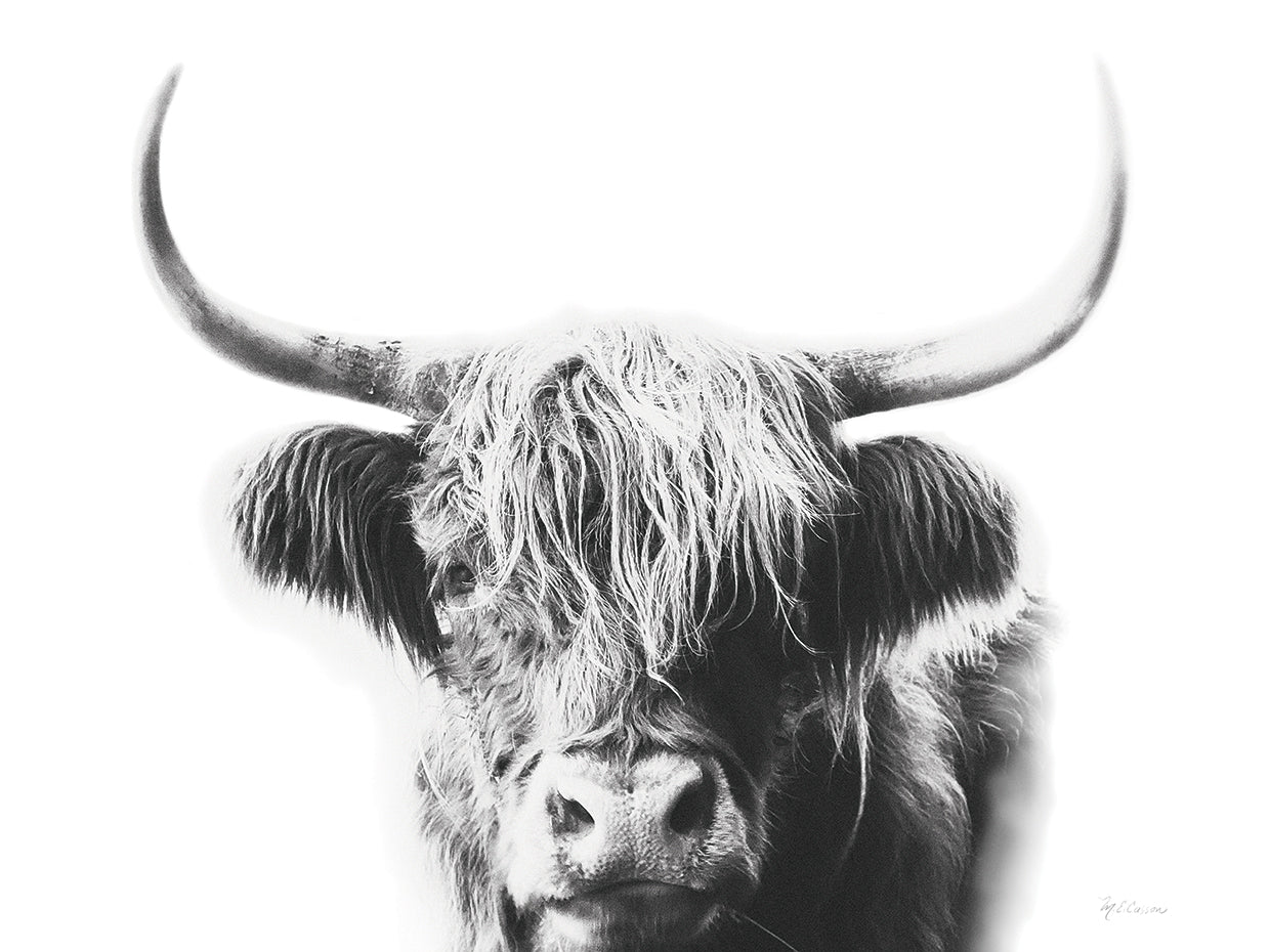 My Highland I