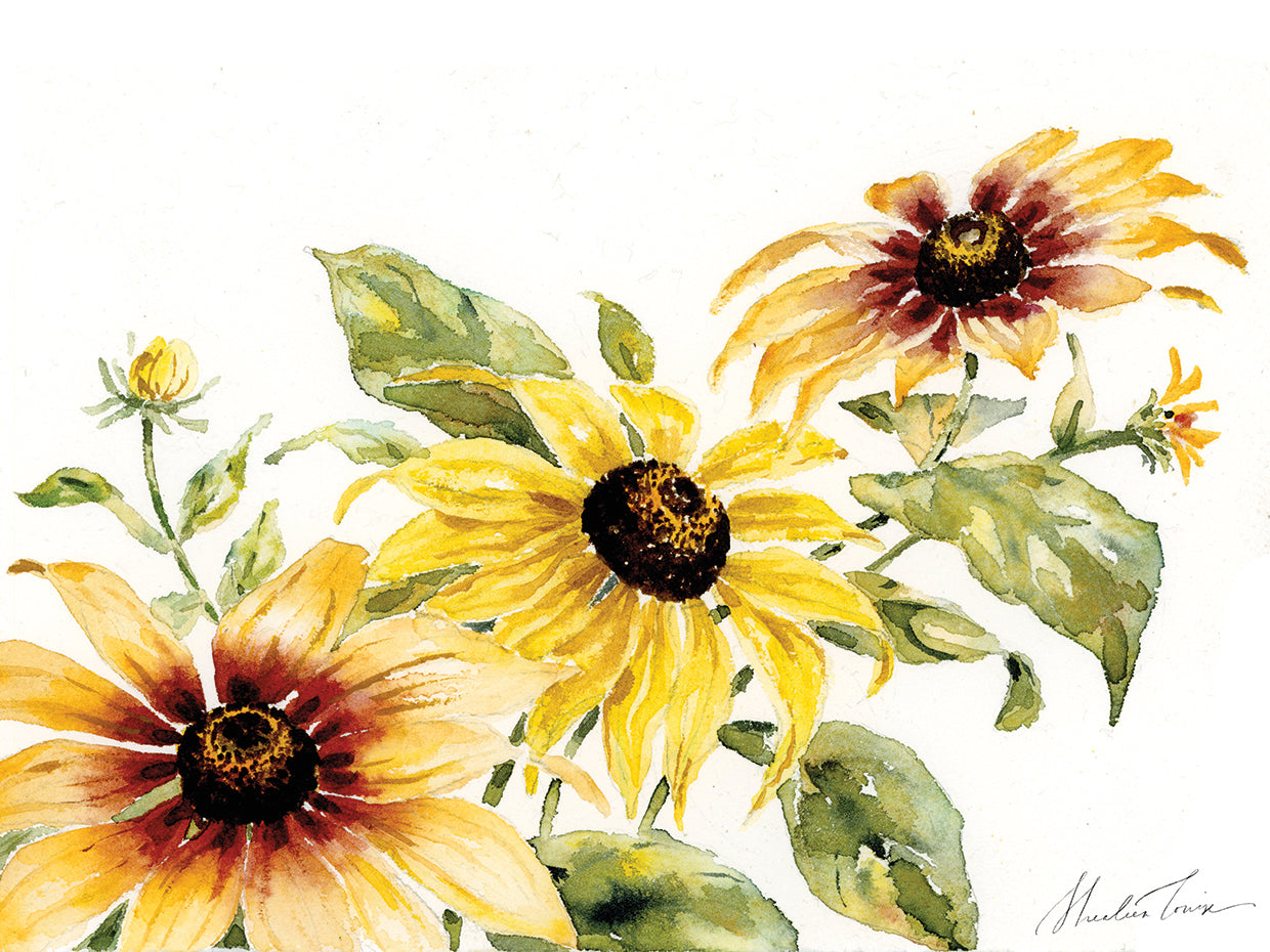 Blackeyed Susans