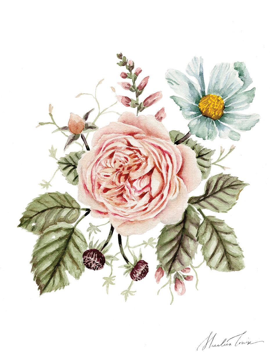 Rose and Foxglove