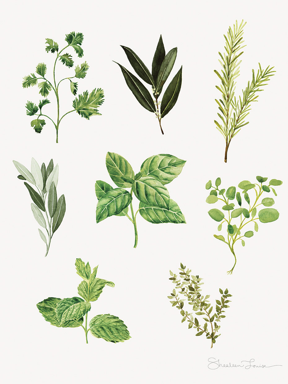 Herbs