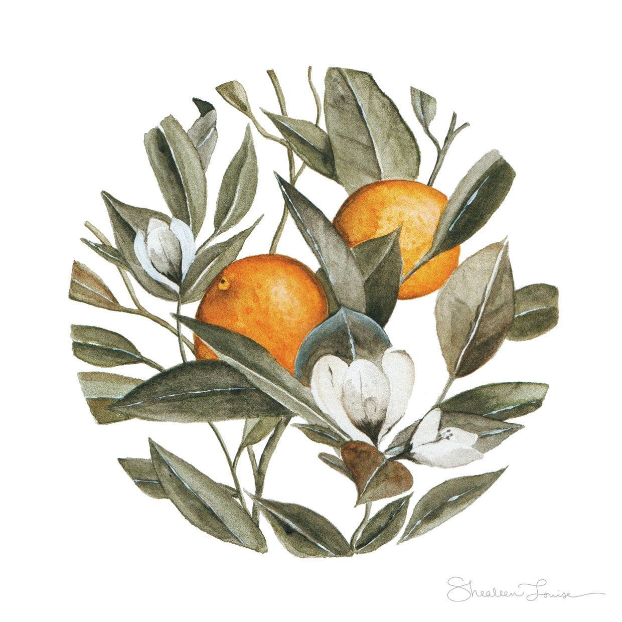 Orange Blossoms No. 2