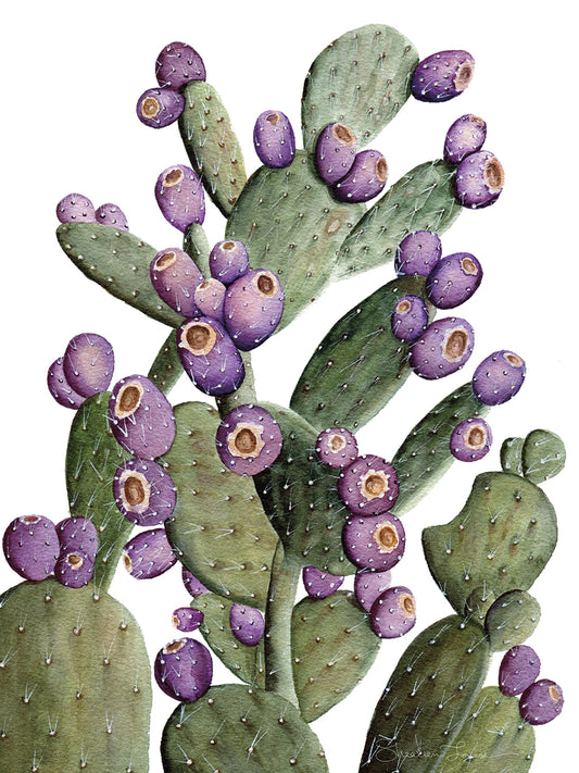 Purple Prickly Pear