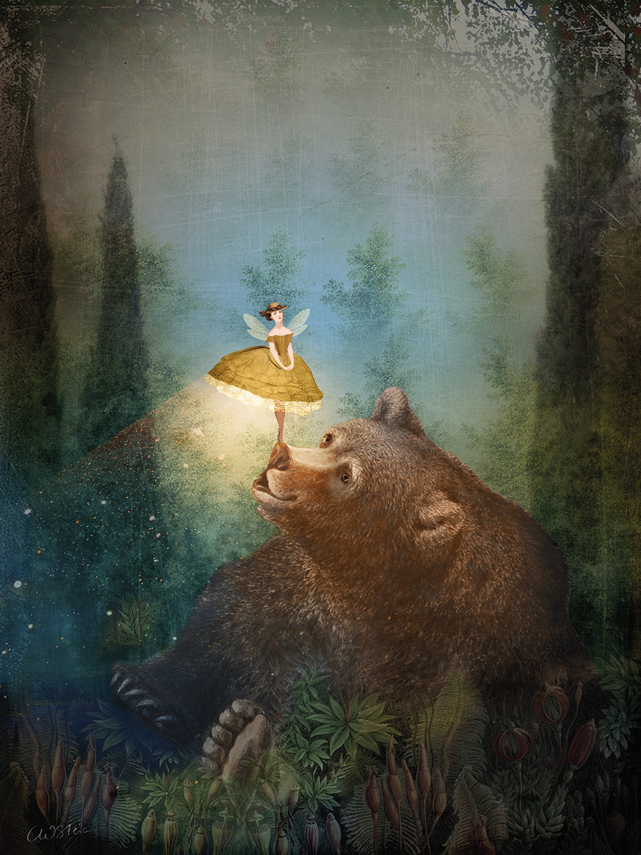 Fairytale Forest