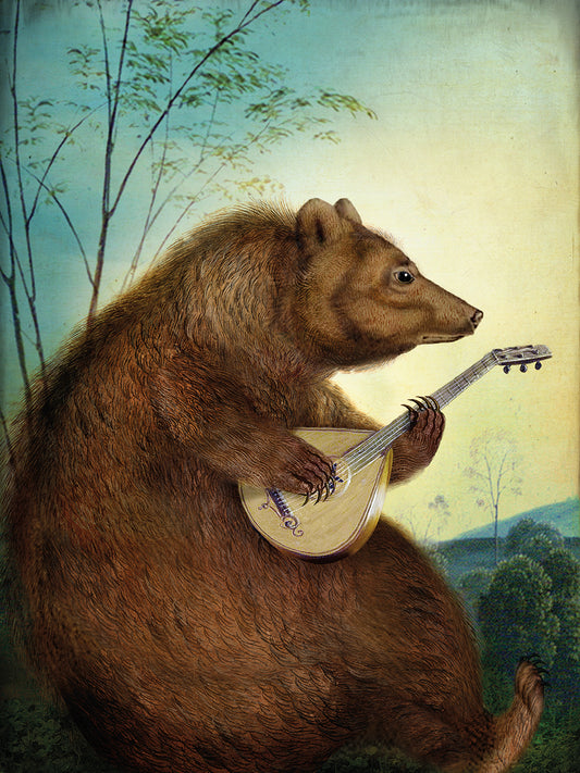 Mandolin Bear