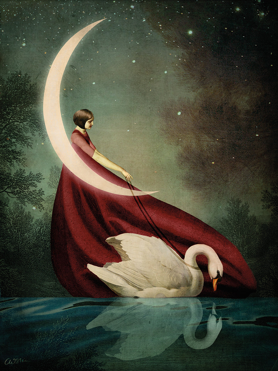 Moonlight Shadow Wall Art by Catrin Welz-Stein | Fine Art Canvas