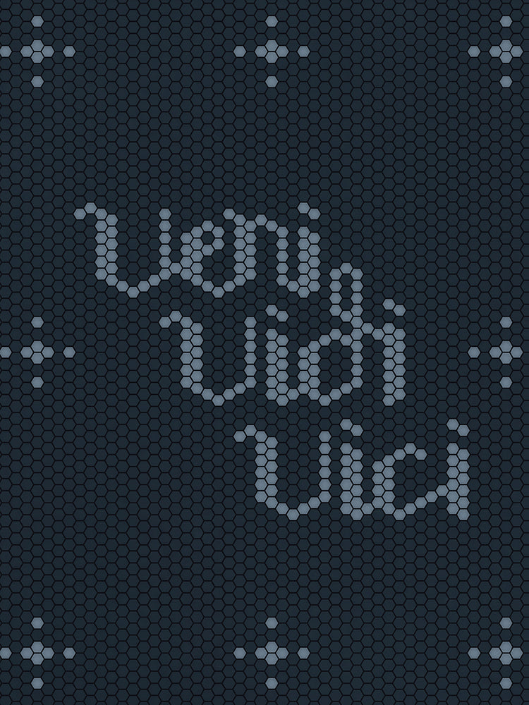 Veni Vidi Vici I Came, I Saw, I Concured in Blue