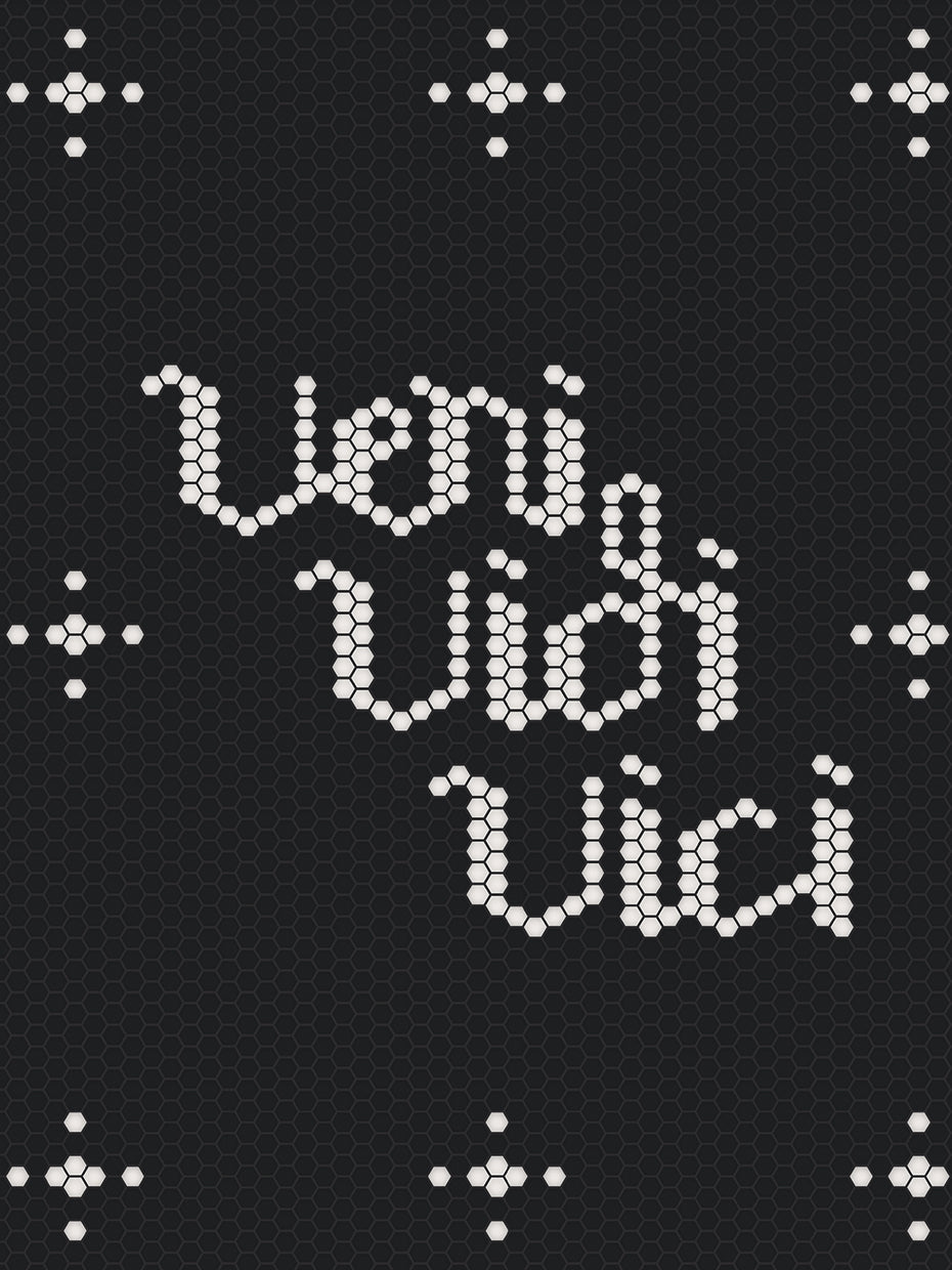 Veni Vidi Vici I Came, I Saw, I Concured (black bckgrrd)