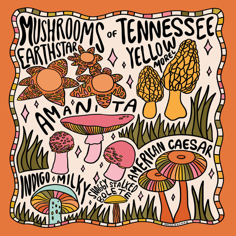 Mushrooms Of Tennessee
