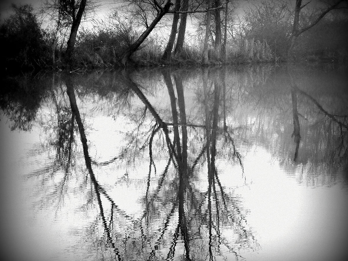 Natures Reflection