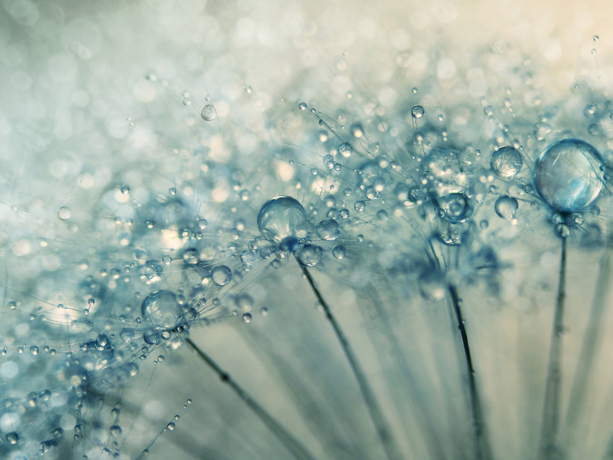 Drops & Sparkles