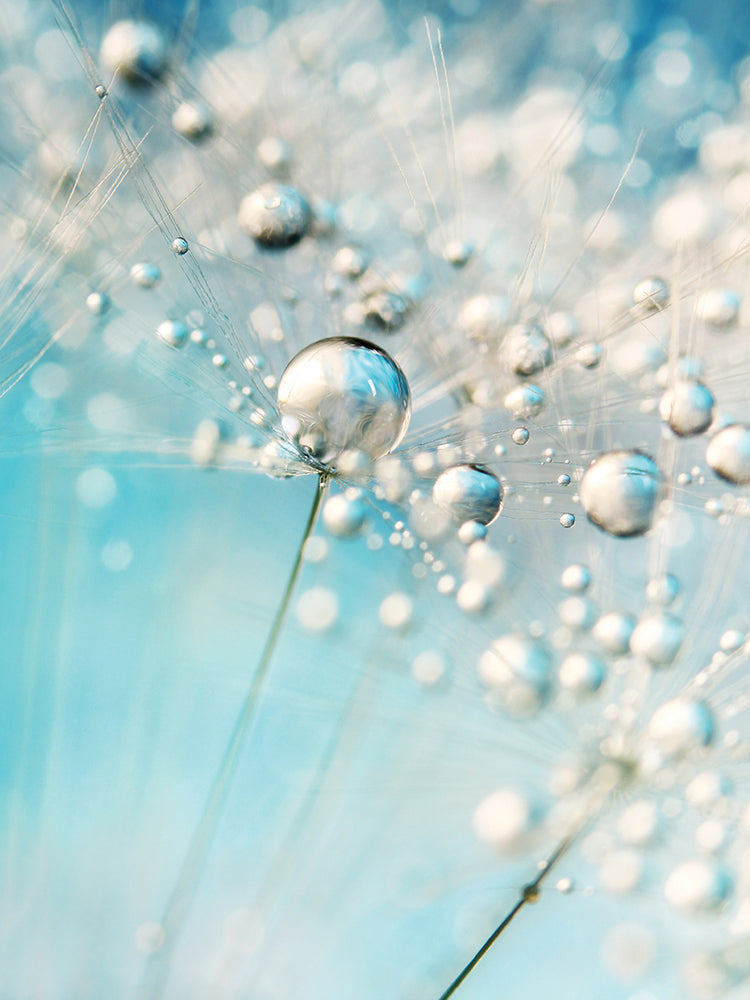Sparkle in Blue